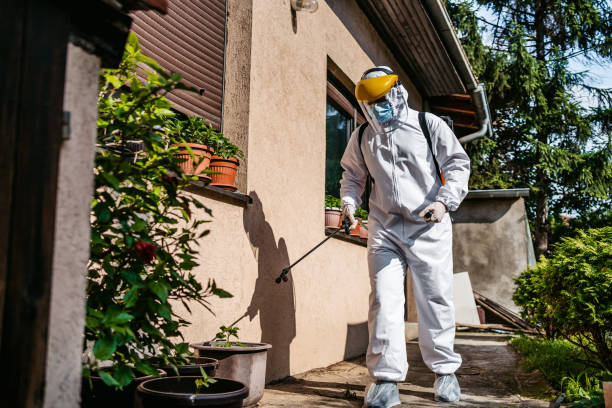 Flea Control Services in Lake Holm, WA